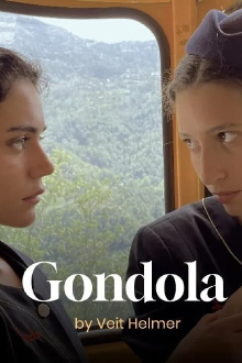 Gondola Trailer