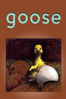 Goose Trailer