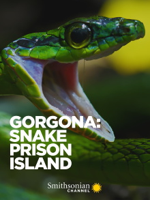 Gorgona: Snake Prison Island Trailer