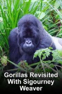 Gorillas Revisited with Sigourney Weaver Trailer