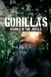Gorillas: Rumble in the Jungle Trailer