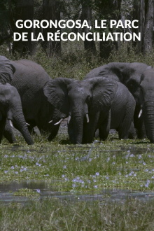 Gorongosa, le parc de la réconciliation Trailer