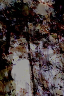 gossamer I Trailer