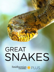 Great Snakes Trailer