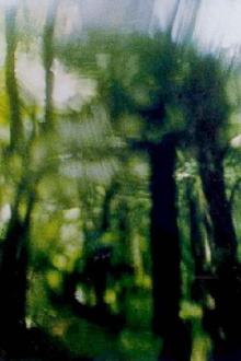 Green Canopy Trailer