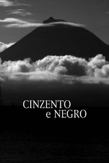 Grey and Black Trailer