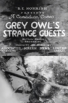 Grey Owl's Strange Guests Trailer