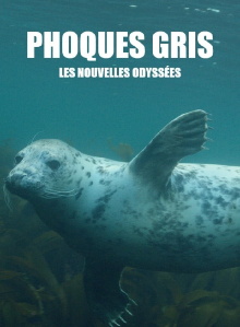 Grey Seals: A Journey of Survival Trailer
