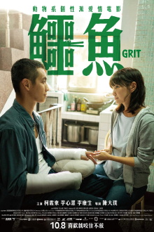 Grit Trailer