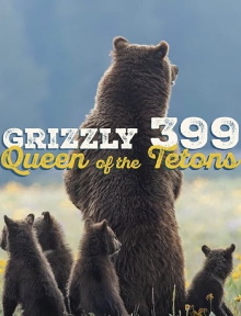 Grizzly 399: Queen of the Tetons Trailer