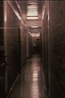 Groping Trailer