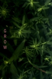 Grow Trailer