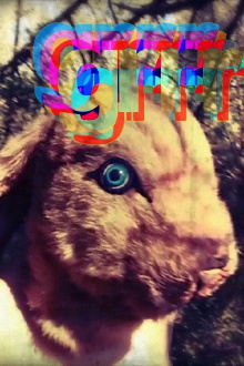 Grrr Trailer