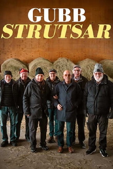 Gubbstrutsar Trailer