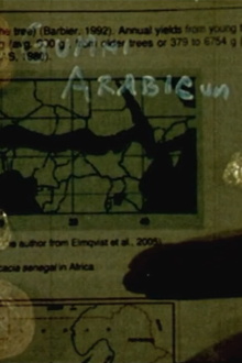 Gummi Arabicum Trailer