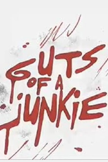 Guts of a Junkie Trailer