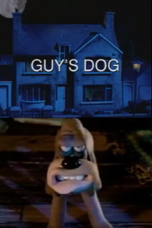Guy's Dog Trailer
