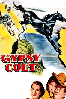 Gypsy Colt Trailer