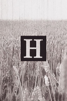 H Trailer