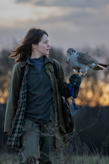 H Is for Hawk Trailer