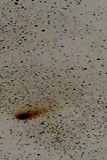 Halley’s Comet Trailer