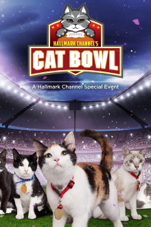 Hallmark Channel's 1st Annual Cat Bowl Trailer