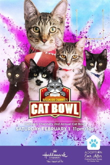 Hallmark Channel's 2nd Annual Cat Bowl Trailer