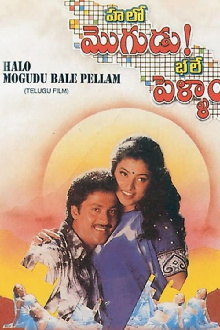 Halo Mogudu Bale Pellam Trailer