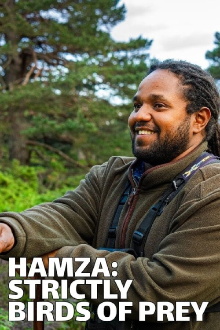Hamza: Strictly Birds of Prey Trailer