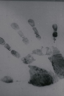 Hand Trailer