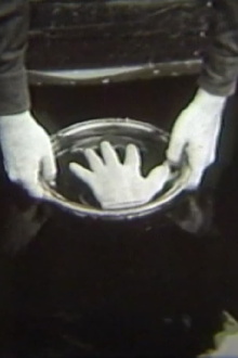 Hand/Water Trailer