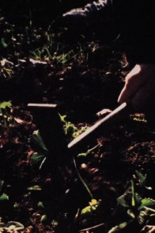 Hands: Oxes Trailer