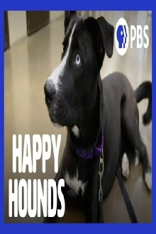 Happy Hounds Trailer