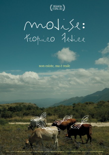 Happy Tropic Trailer
