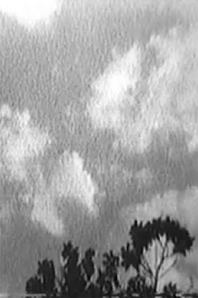 Hark! Hork! Trailer
