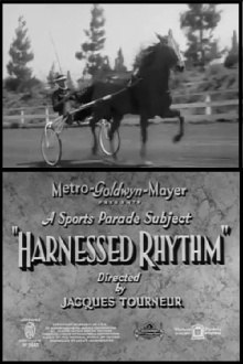 Harnessed Rhythm Trailer