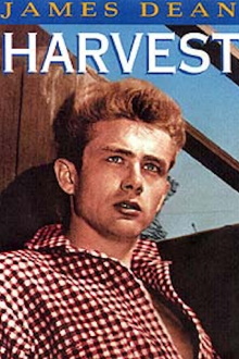 Harvest Trailer