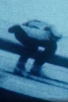 Haut-Saut Trailer