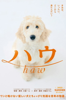 Haw Trailer