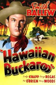 Hawaiian Buckaroo Trailer