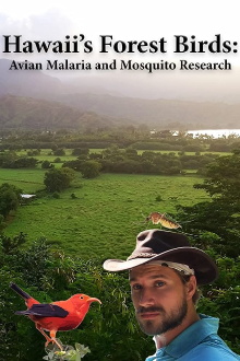 Hawaii's Forest Birds: Avian Malaria and Mosquito Research Trailer