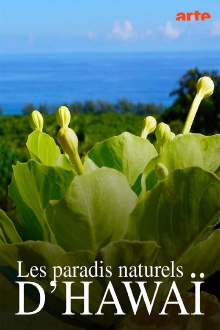 Hawaiis versteckte Paradiese Trailer