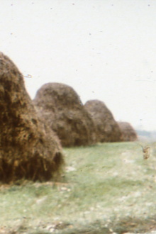 Haystacks Trailer