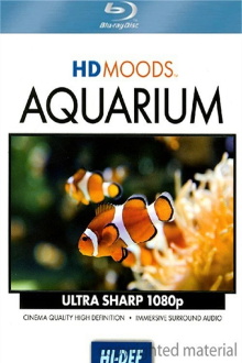 HD MOODS: AQUARIUM Trailer