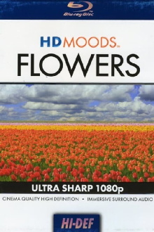 HD Moods Flowers Trailer