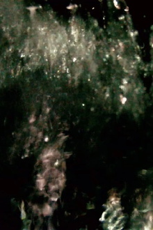 He Maketh a Path to Shine After Him; One Would Think the Deep to Be Hoary Trailer