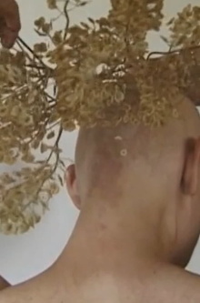 Headstrong Trailer