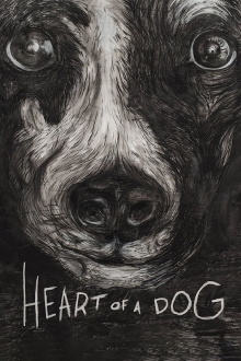 Heart of a Dog Trailer