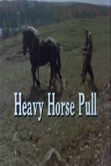 Heavy Horse Pull Trailer