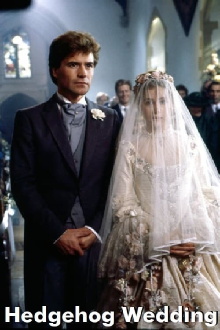 Hedgehog Wedding Trailer